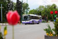 Imagine atasata: IMG_0057.JPG